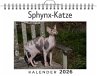 Sphynx-Katze - Bild 1