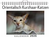 Orientalisch Kurzhaar-Katzen