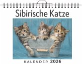 Sibirische Katze