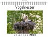 Vogelnester - Bild 1