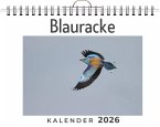 Blauracke