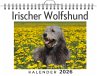 Irischer Wolfshund - Bild 1