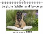 Belgischer Schäferhund Tervueren