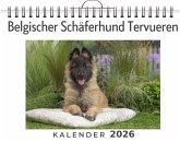 Belgischer Schäferhund Tervueren Belgischer Schäferhund Tervueren