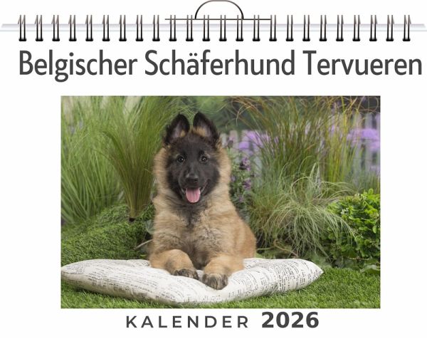 Belgischer Schäferhund Tervueren Belgischer Schäferhund Tervueren