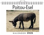 Poitou-Esel