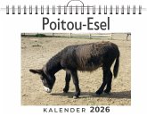 Poitou-Esel