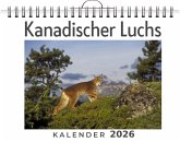 Kanadischer Luchs