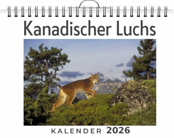 Kanadischer Luchs Kanadischer Luchs