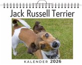 Jack Russell Terrier Jack Russell Terrier