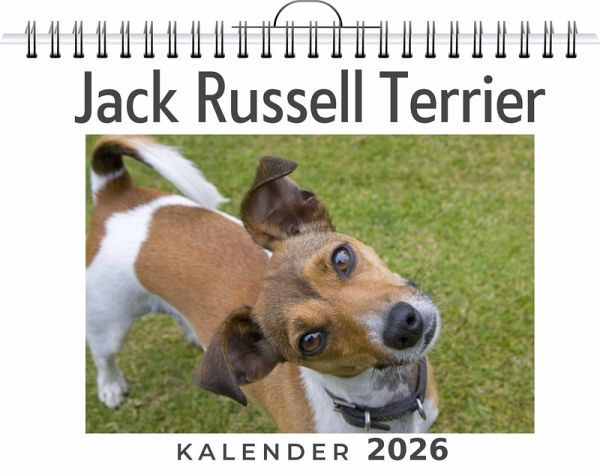 Jack Russell Terrier Jack Russell Terrier