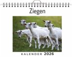 Ziegen