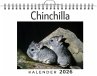 Chinchilla - Bild 1