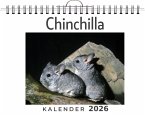 Chinchilla Chinchilla