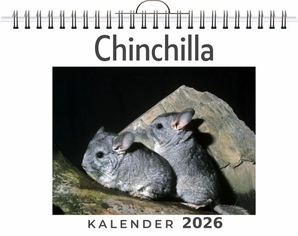 Chinchilla