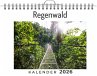 Regenwald - Bild 1
