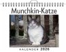 Munchkin-Katze - Bild 1