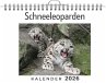 Schneeleoparden - Bild 1