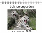 Schneeleoparden