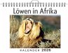 Löwen in Afrika - Bild 1