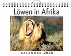 Löwen in Afrika Löwen in Afrika