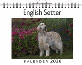 English Setter English Setter