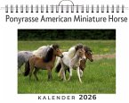 Ponyrasse American Miniature Horse Ponyrasse American Miniature Horse