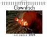 Clownfisch - Bild 1