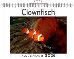 Clownfisch