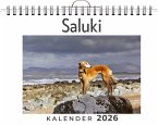 Saluki