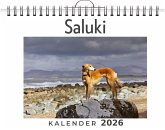 Saluki