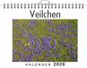 Veilchen - Bild 1