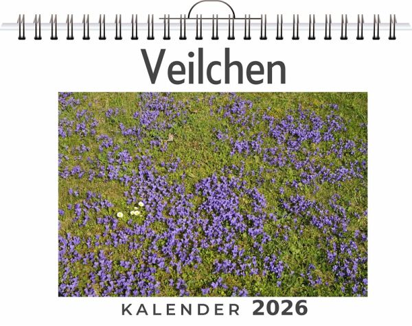 Veilchen Veilchen