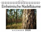 Einheimische Nadelbäume