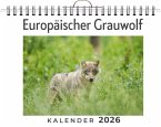 Europäischer Grauwolf Europäischer Grauwolf