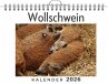 Wollschwein - Bild 1