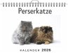 Perserkatze - Bild 1
