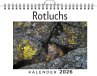 Rotluchs - Bild 1