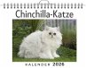 Chinchilla-Katze - Bild 1