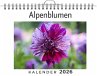 Alpenblumen - Bild 1