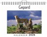 Gepard - Bild 1