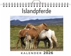 Islandpferde