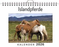 Cover Islandpferde