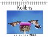 Kolibris - Bild 1