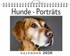 Hunde - Porträts Hunde - Porträts