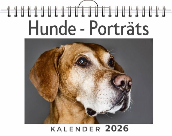 Hunde - Porträts