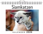 Siamkatzen