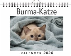 Cover Burma-Katze