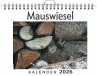 Mauswiesel - Bild 1