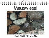 Mauswiesel Mauswiesel
